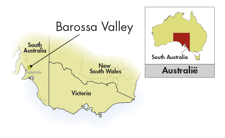 Barossa: hét gebied voor Australische Shiraz!
