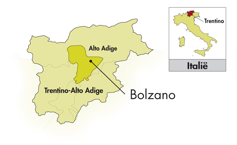 H. Lun Alto Adige Pinot Bianco