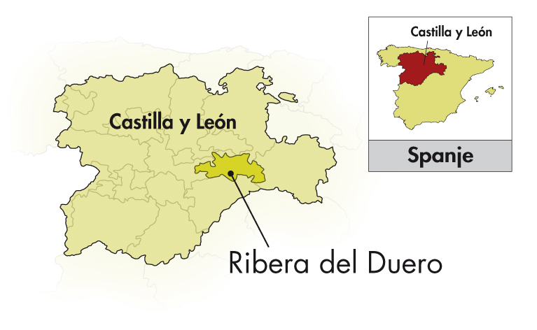 Dominio de Es Ribera del Duero Viñas Viejas de Soria