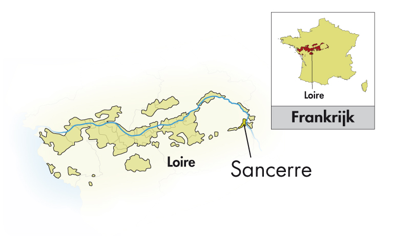 Domaine Sautereau Sancerre