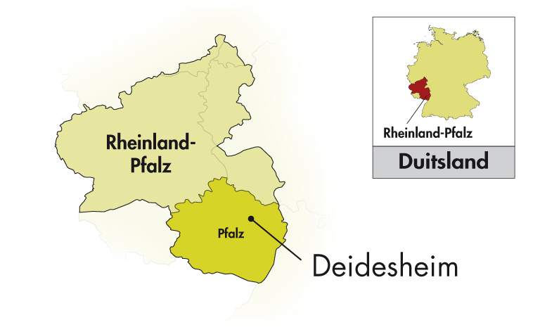 Reichsrat von Buhl Pfalz Sekt Spätburgunder Rosé Brut halve fles