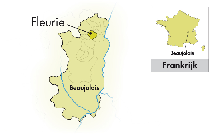Domaine de Roche-Guillon Fleurie Lieu-dit La Tonne