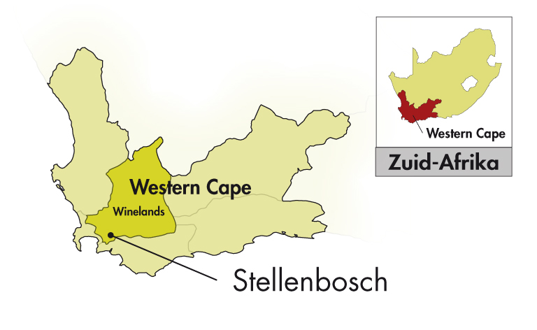 DeMorgenzon Stellenbosch DMZ Limited Release Grenache Blanc