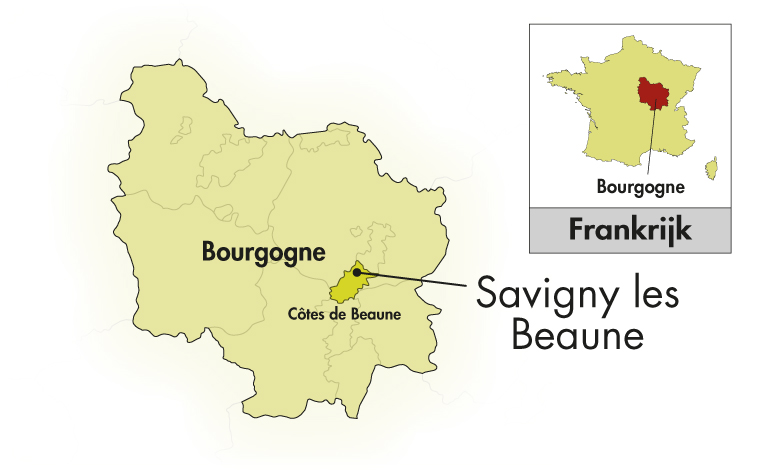 Domaine Jean Chartron Savigny-les-Beaune