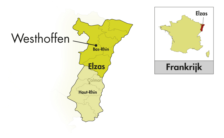 Domaine Loew Elzas Alsace