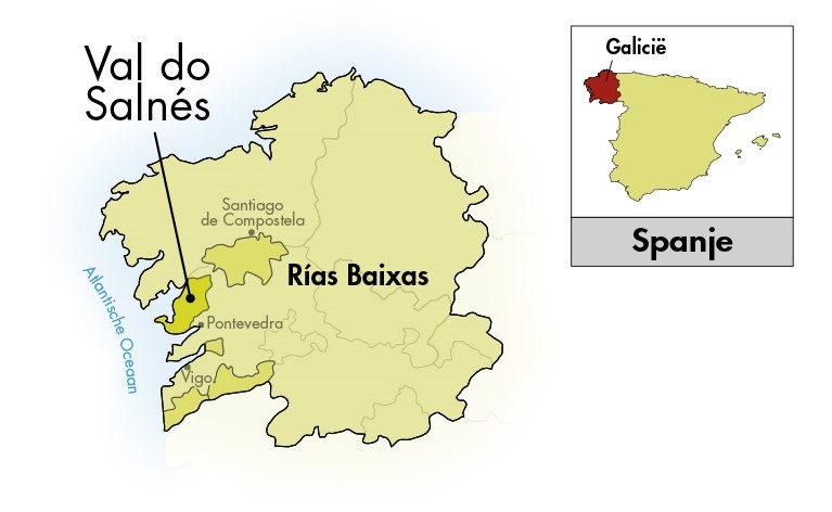 Bodegas Forjas del Salnés Rías Baixas Leirana Albariño