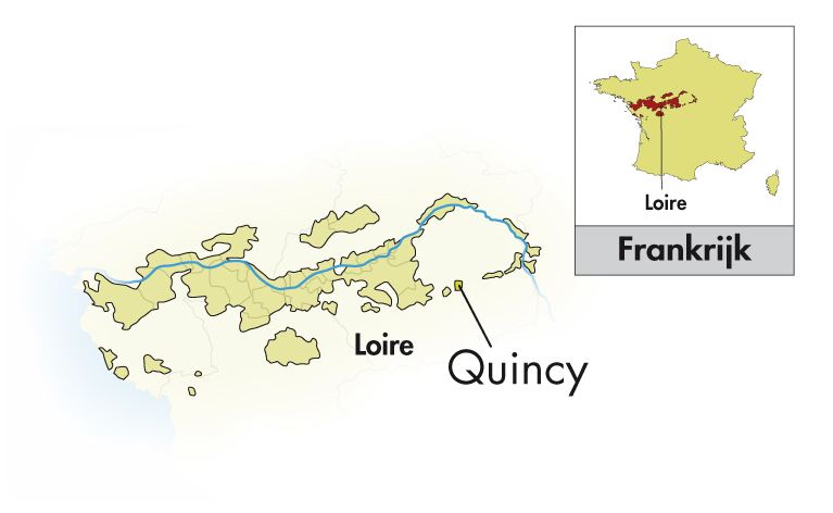 Domaine du Tremblay Quincy