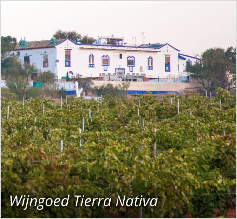 Wijngoed Tierra Nativa