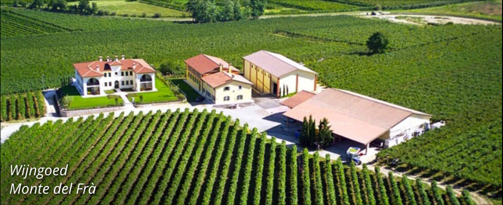 Wijngoed Monte del Frà