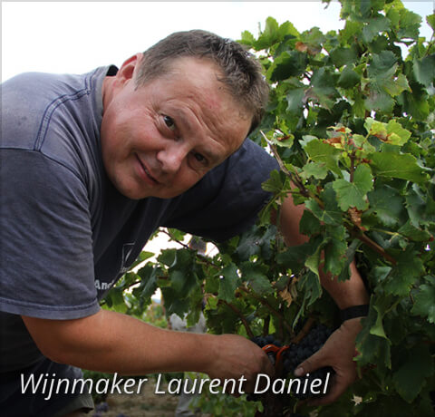 Wijnmaker Laurent Daniel