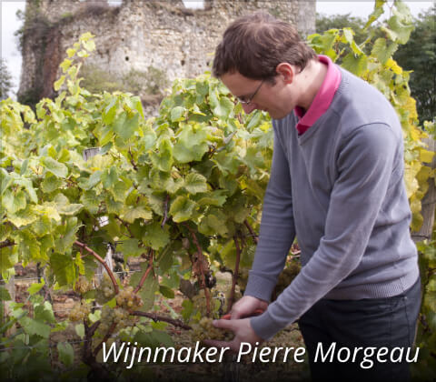 Wijnmaker Pierre Morgeau
