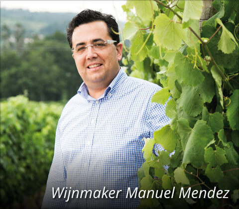 Wijnmaker Manuel Mendez
