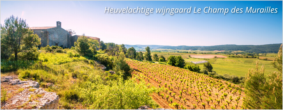 Uitzicht vanuit wijngaard Le Champ des Murailles op de heuvel