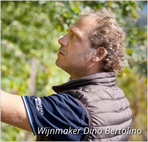 Wijnmaker Dino Bertolino