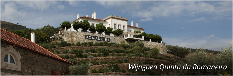 Wijngoed Quinta da Romaneira