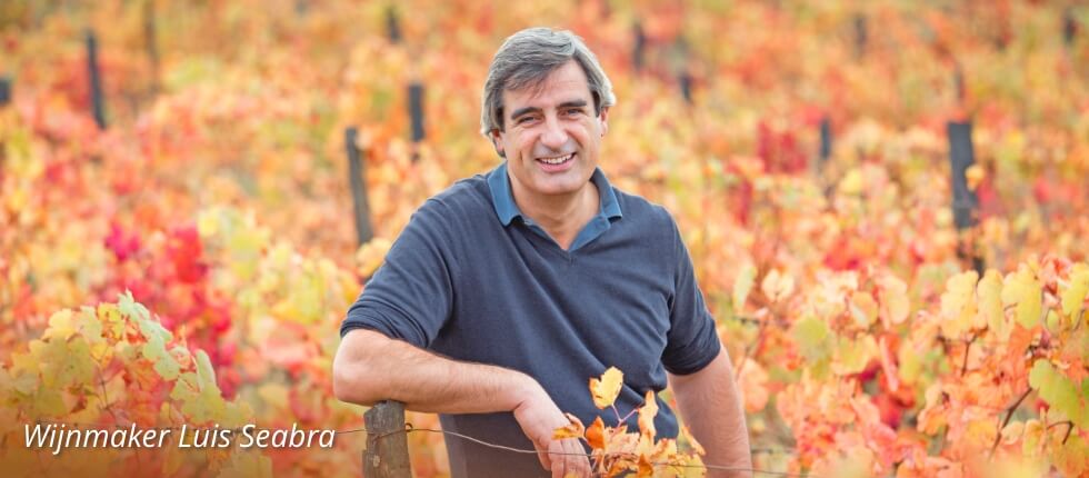 Wijnmaker Luis Seabra