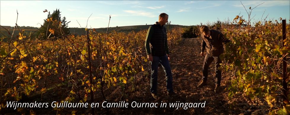 Wijnmaker Camille Ournac