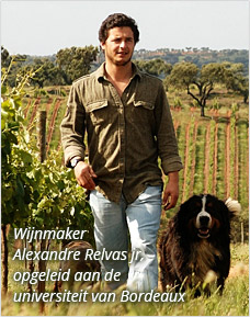 Wijnmaker Alexandre Relvas jr.